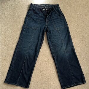 Sz 6 short American Eagle Outfitters Dreamy Drape High Waisted Wide Leg Jean